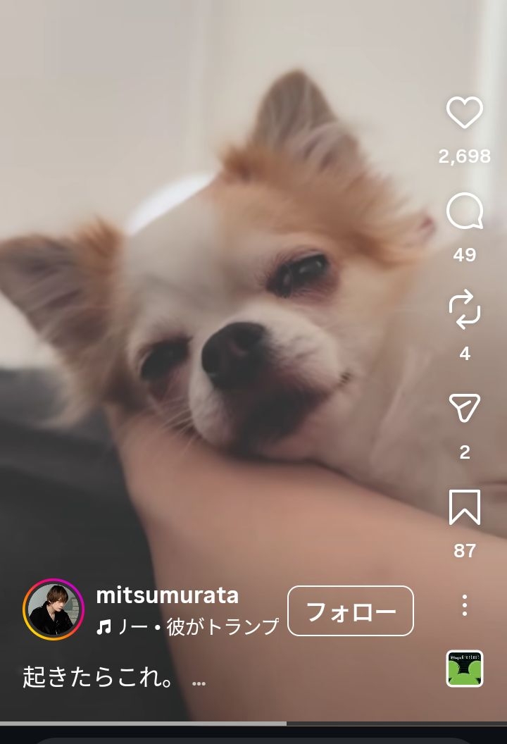 村田充　元妻・神田沙也加さんの愛犬と「いつも一緒に寝ている」愛くるしい姿を公開…引き取って生活