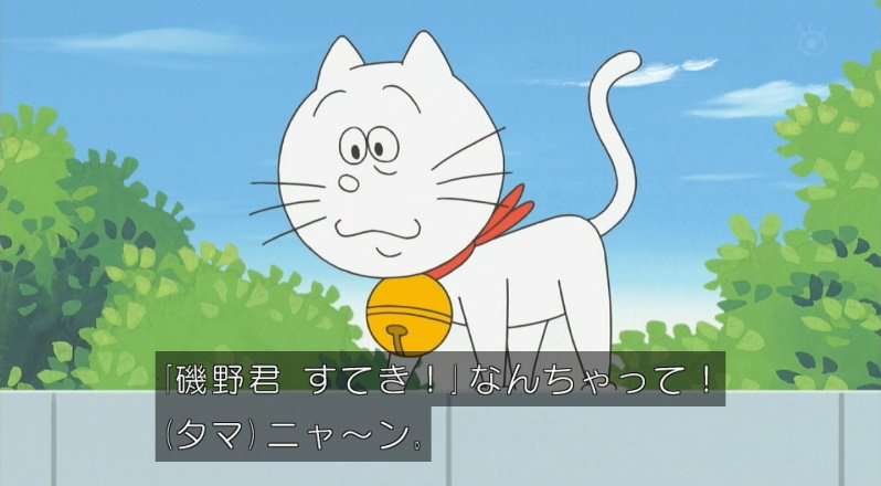 【猫】どっちが幸せ？【室内飼い・野良猫】