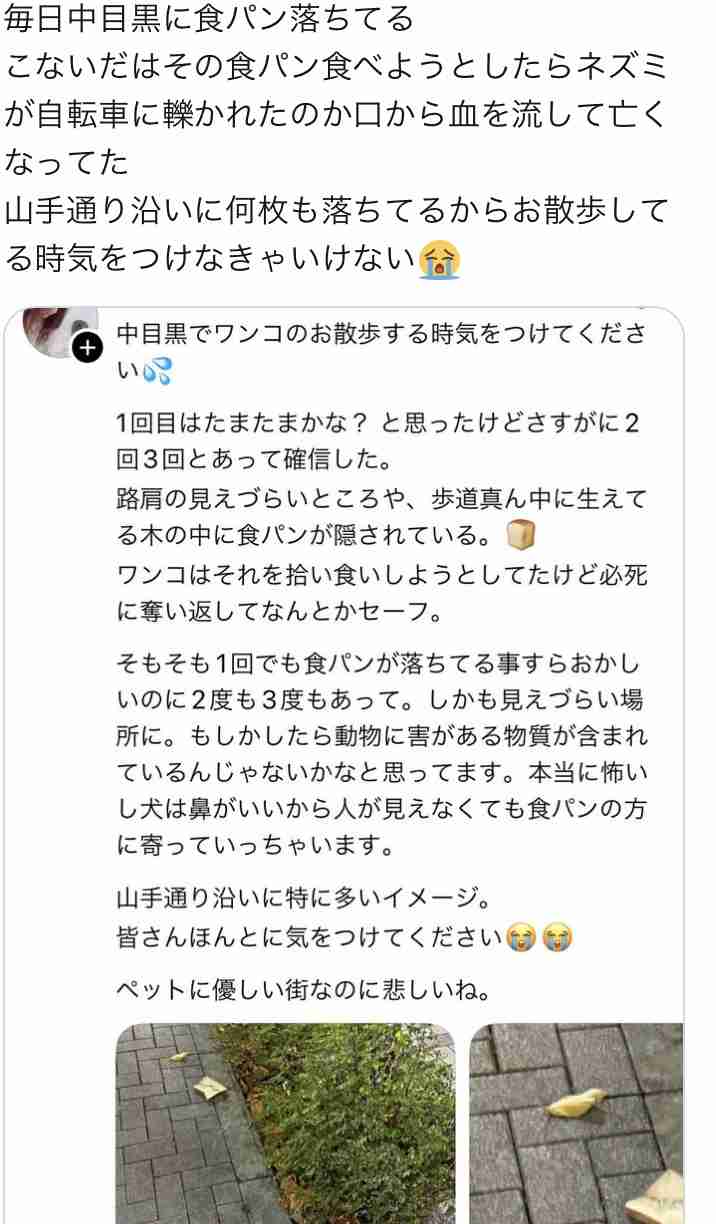「中目黒に住んでるの？おしゃれだね」→住民「そんなことないんだけどな…」はなぜ起きる？「おしゃれタウン」中目黒の意外な実像