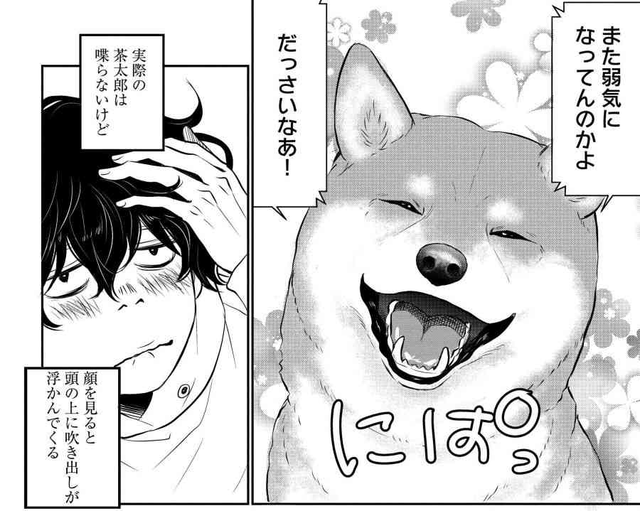 ペットが私に冷たくなった ※駄トピです