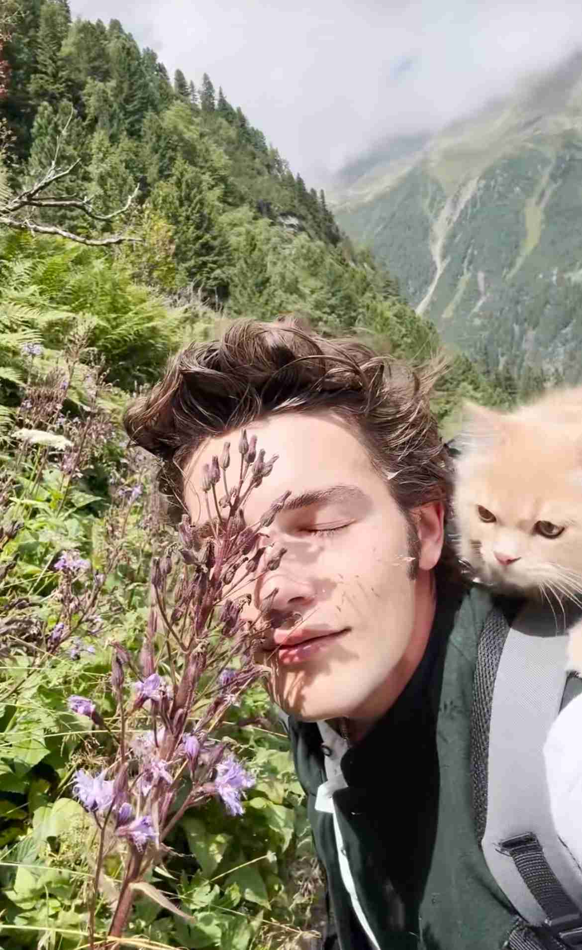 生まれ変わるなら犬？猫？誰の家の？