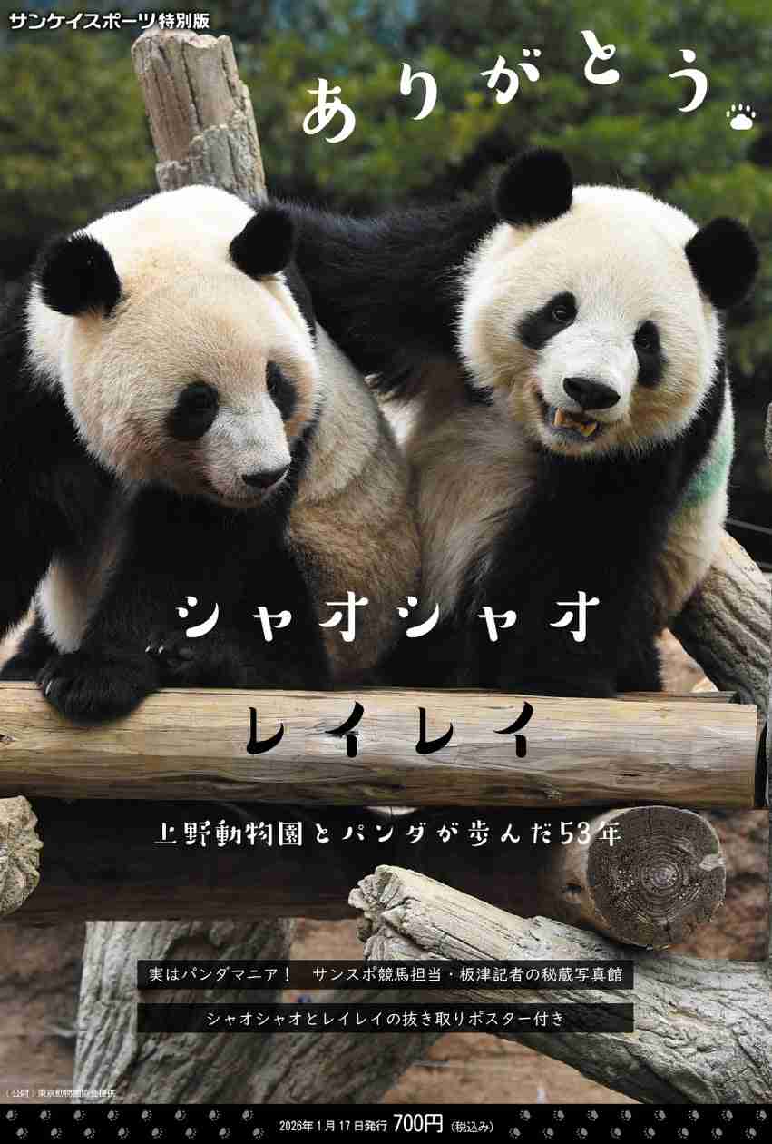 上野動物園の双子パンダ、きょうで見納め 観覧の抽選倍率は20倍超
