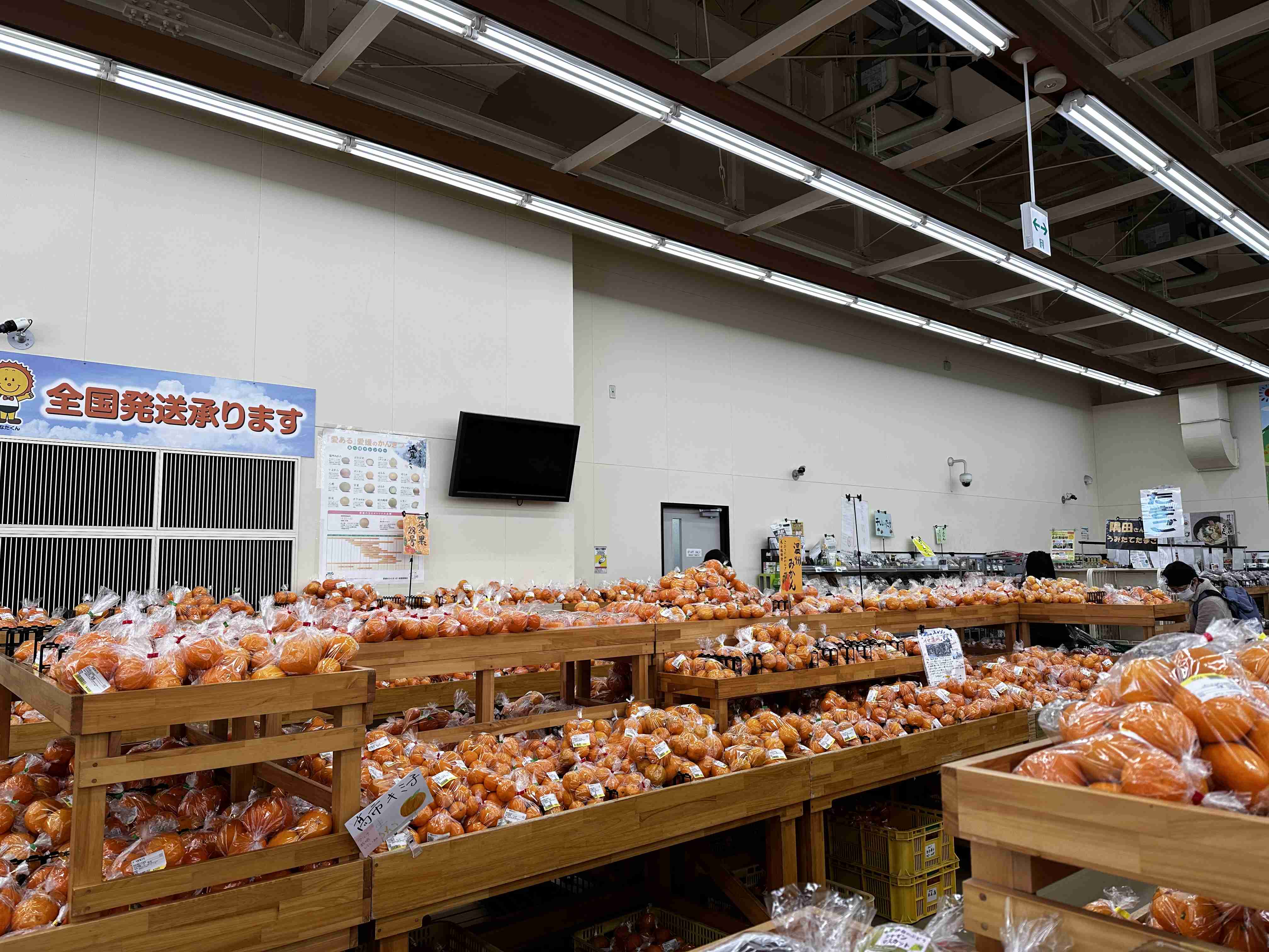 愛媛県に引っ越します