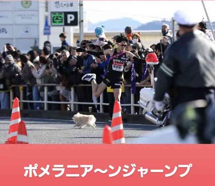 【実況・感想】箱根駅伝2026 復路