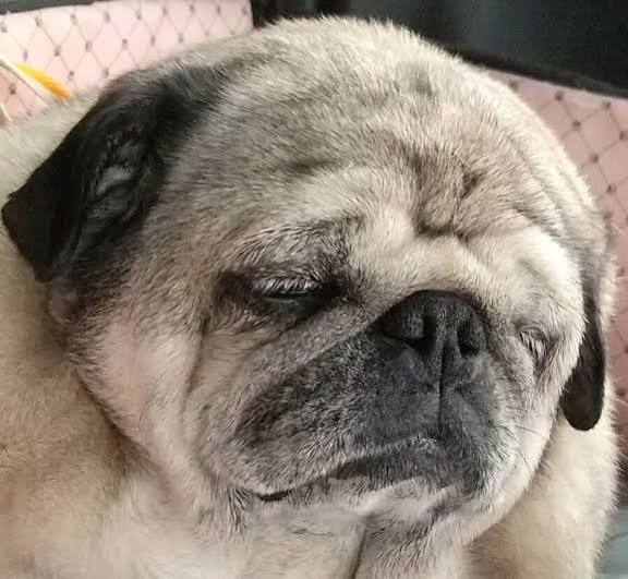 老け顔さん集合〜！