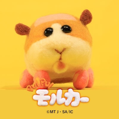 【祝・5周年】モルカーを語りたい