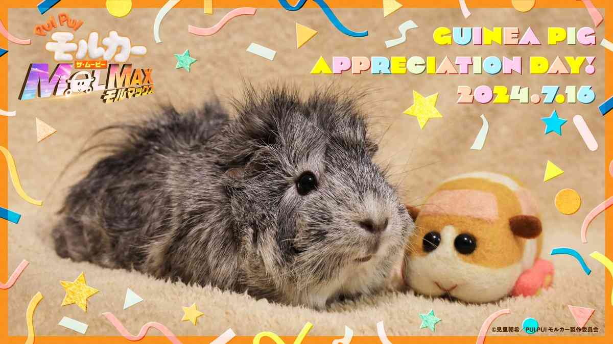 【祝・5周年】モルカーを語りたい