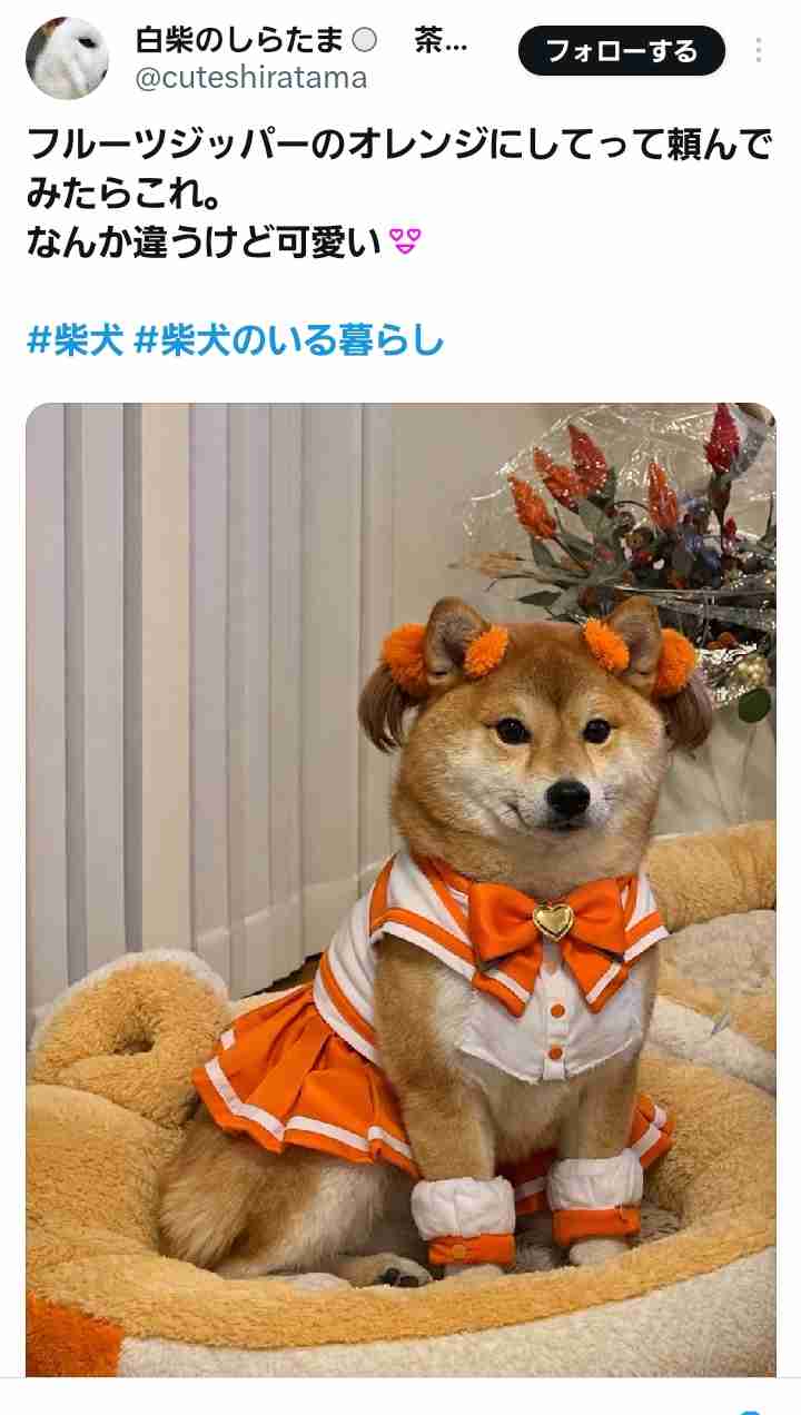 漫画家・田辺洋一郎、アイドルの写真をAI加工「ビキニを着せて」…メンバー嫌悪感　ネット「ただの公然セクハラ」