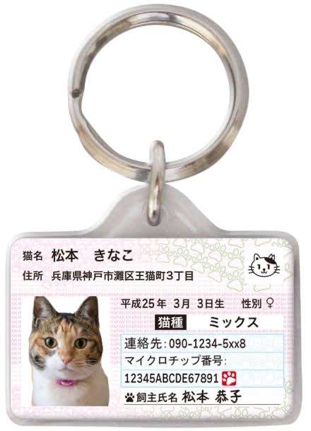 自分を物や動物に例えると、なんて言われたことある?