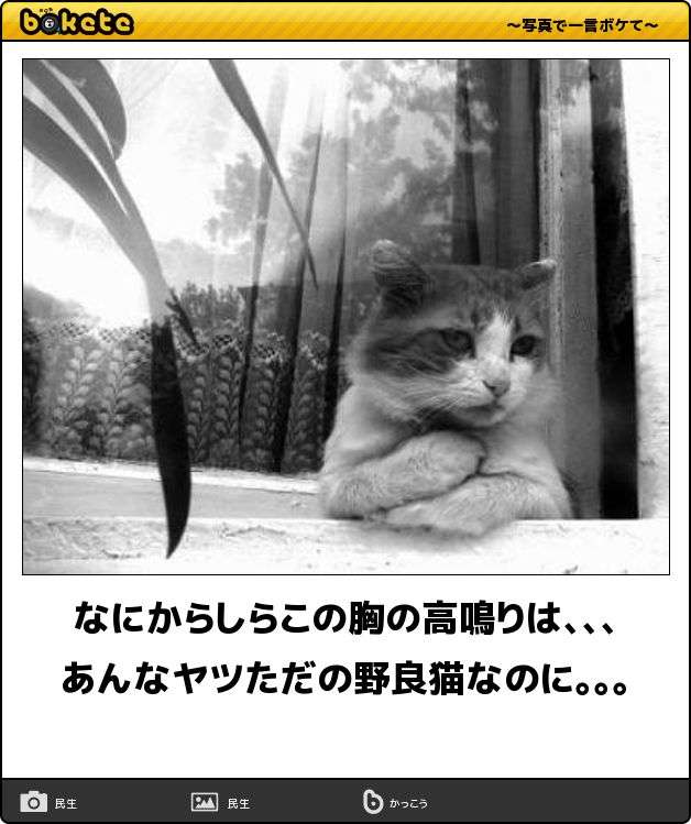 恋愛に関して、自分でもビックリしている事