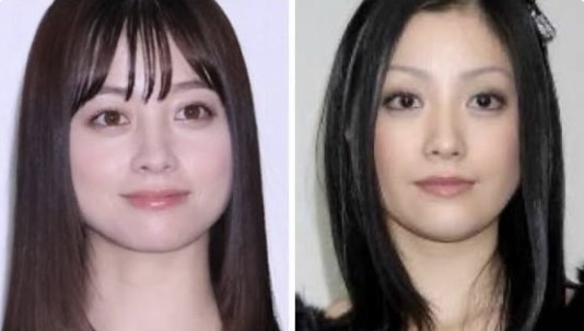 【芸能人】パッと見なんとなく似てる選手権 Part3