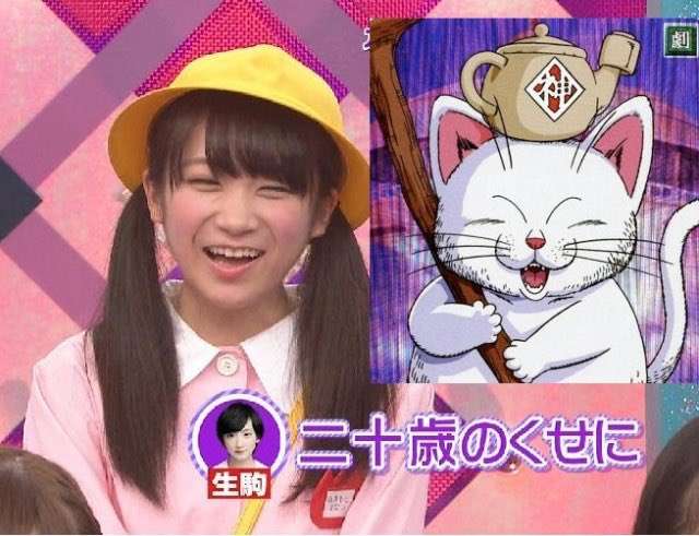 【芸能人】パッと見なんとなく似てる選手権 Part3