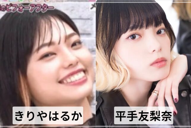 【芸能人】パッと見なんとなく似てる選手権 Part3