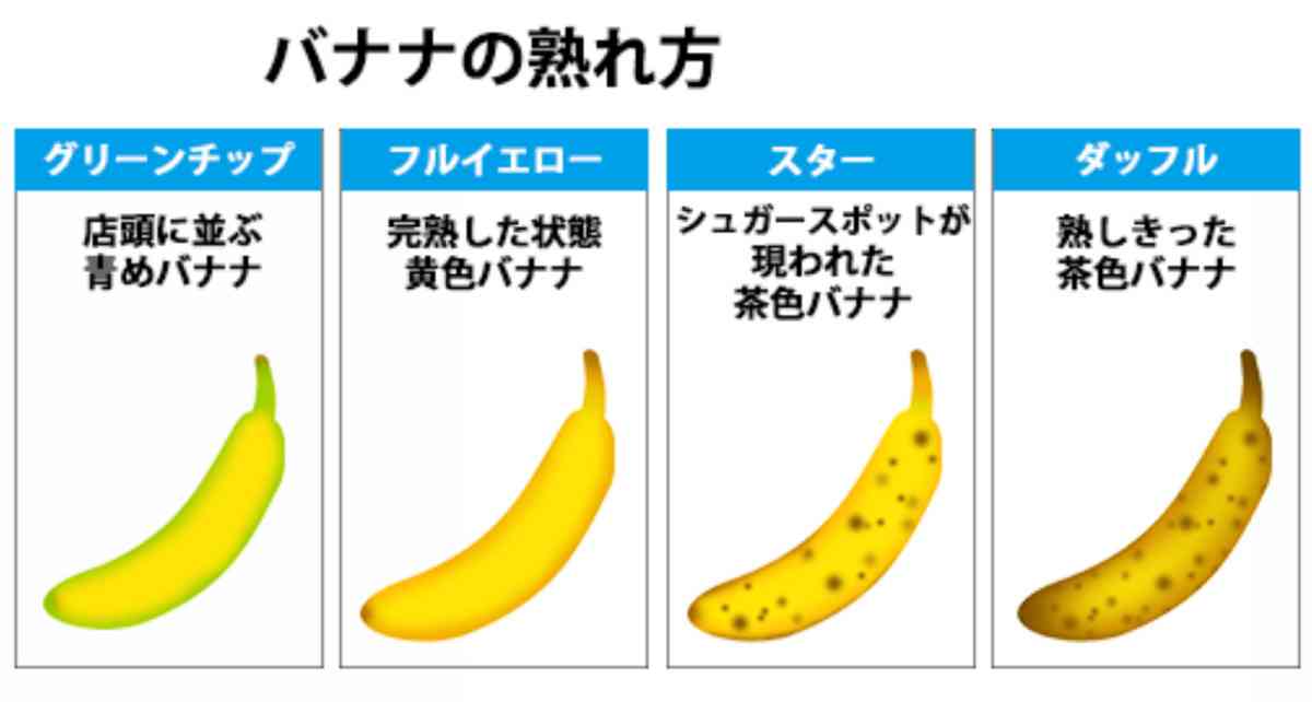 卵子の数は月に約1000個減少&自然流産の確率は40代では40%以上…年齢とともにリスクが高まる高齢出産と卵子凍結のリアルを専門家が解説