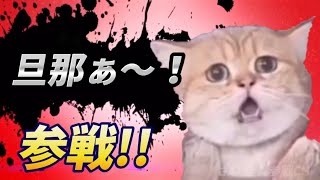 波紋　箱根駅伝でコース上に犬乱入　選手の走行妨害の場面も　SNS「前代未聞」怒りの声も「重大事故につながる可能性あった」