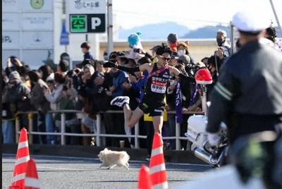 波紋　箱根駅伝でコース上に犬乱入　選手の走行妨害の場面も　SNS「前代未聞」怒りの声も「重大事故につながる可能性あった」