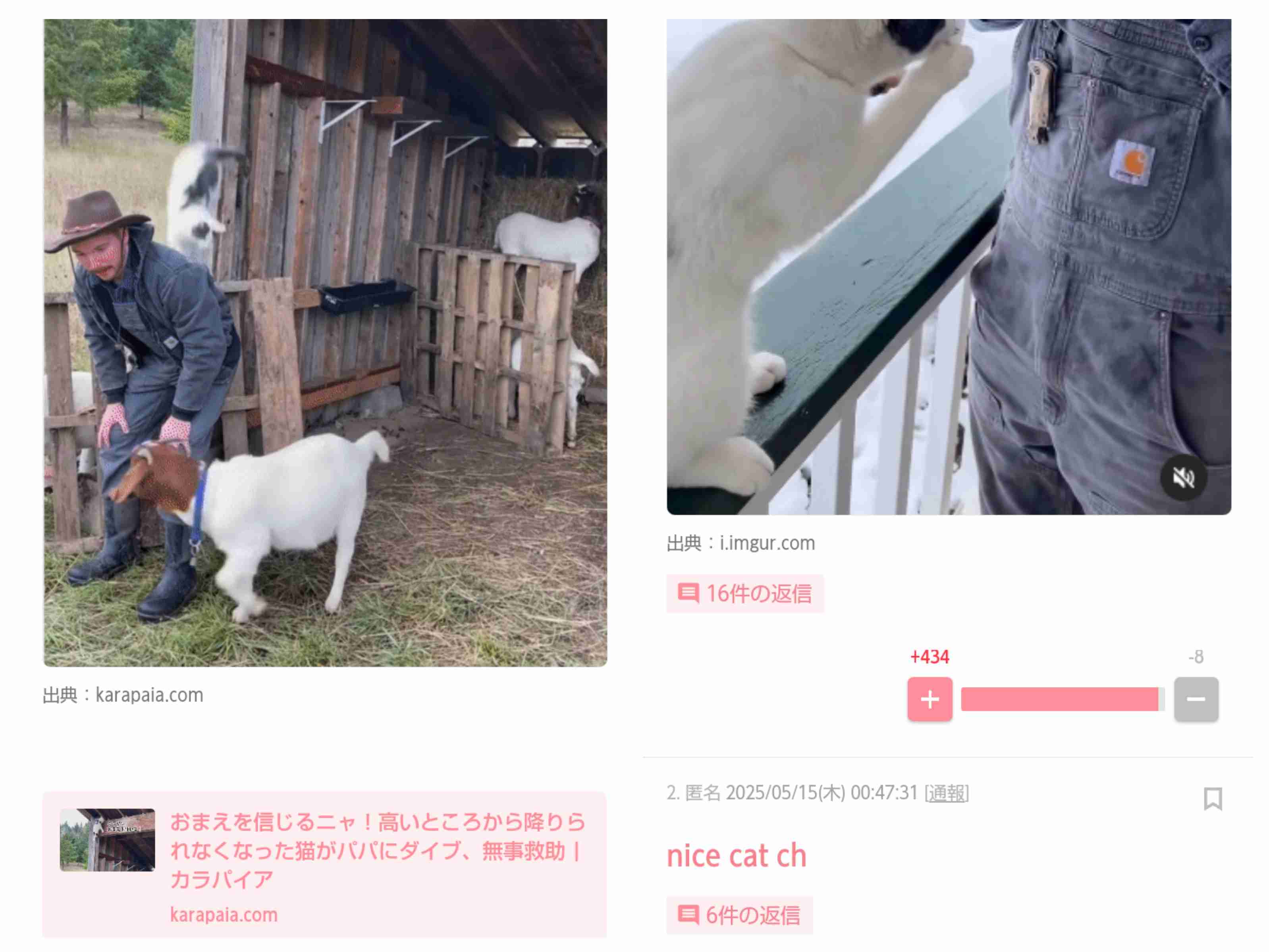 笑った・秀逸だった2コメpart13