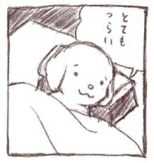貧乏・毒親育ち・精神疾患持ちの三重苦の人いますか？