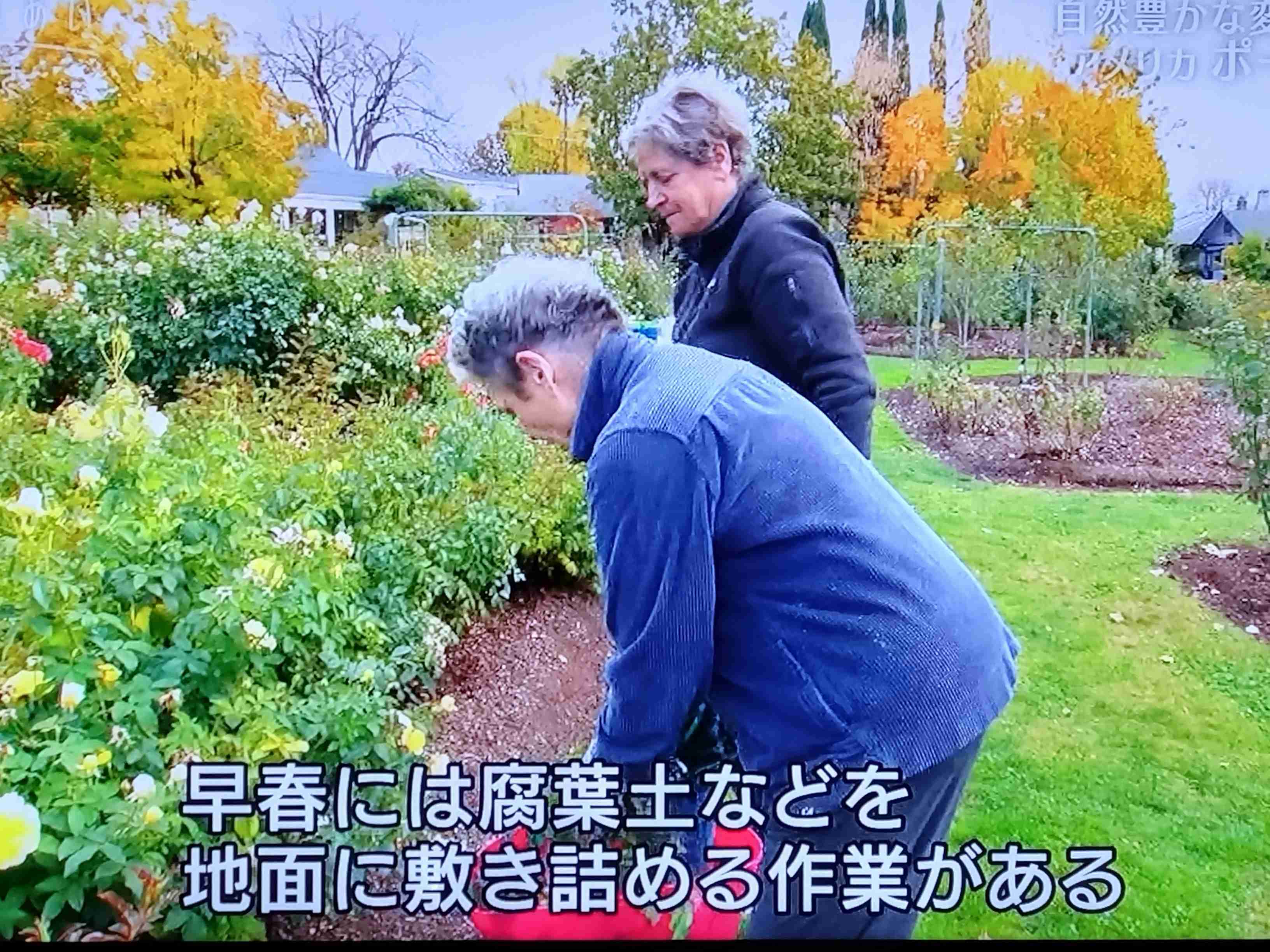 【ガーデニング】ガルちゃん園芸部【花・植物】part.53