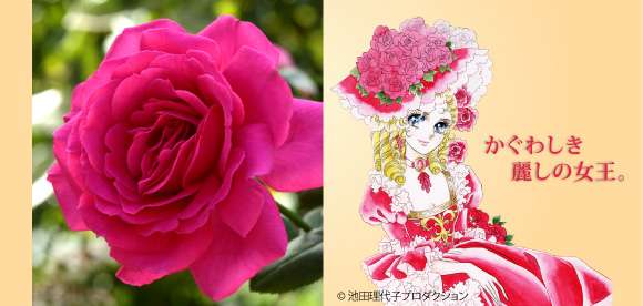 【ガーデニング】ガルちゃん園芸部【花・植物】part.53