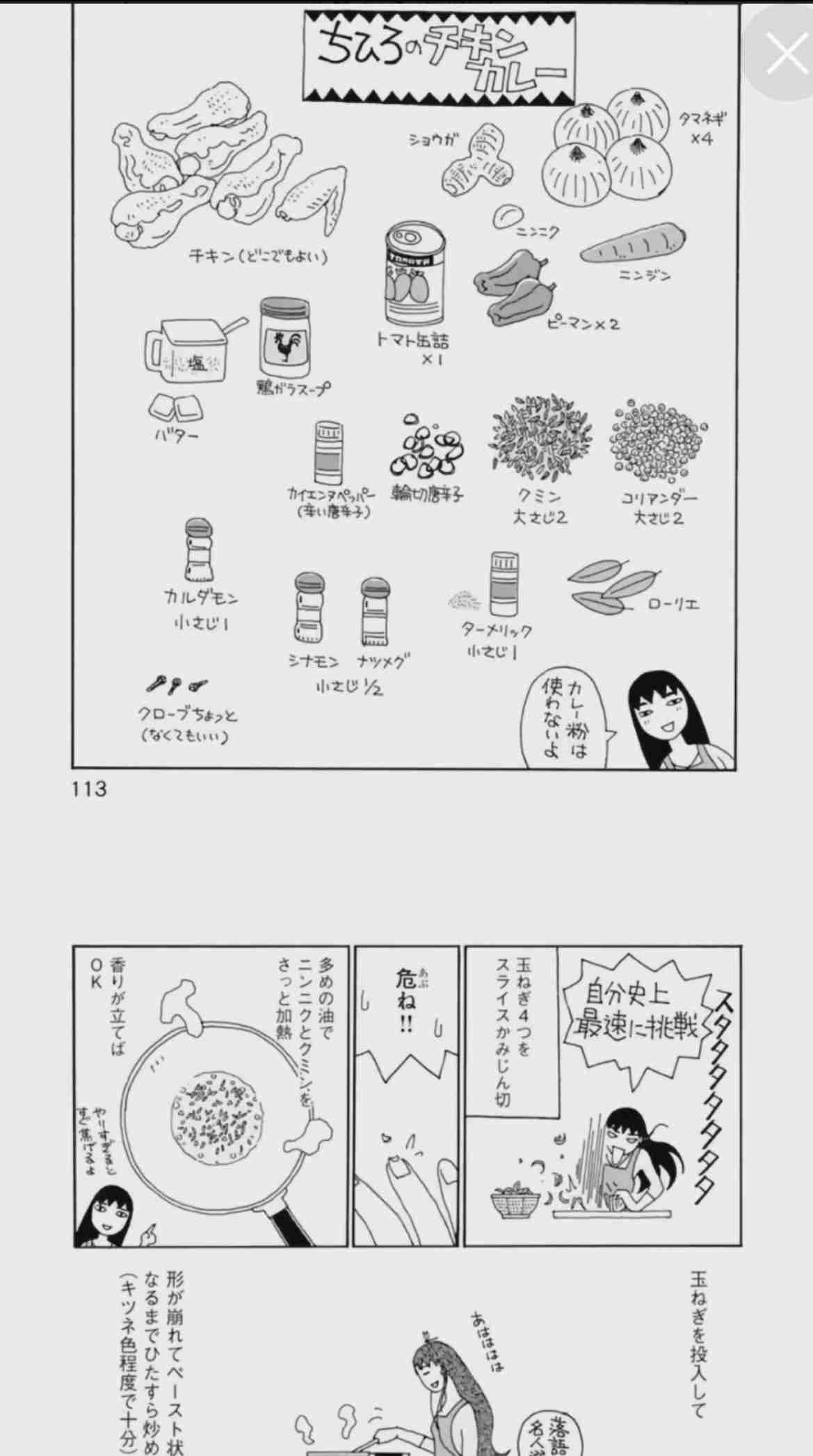 胃もたれしないおすすめのカレールー
