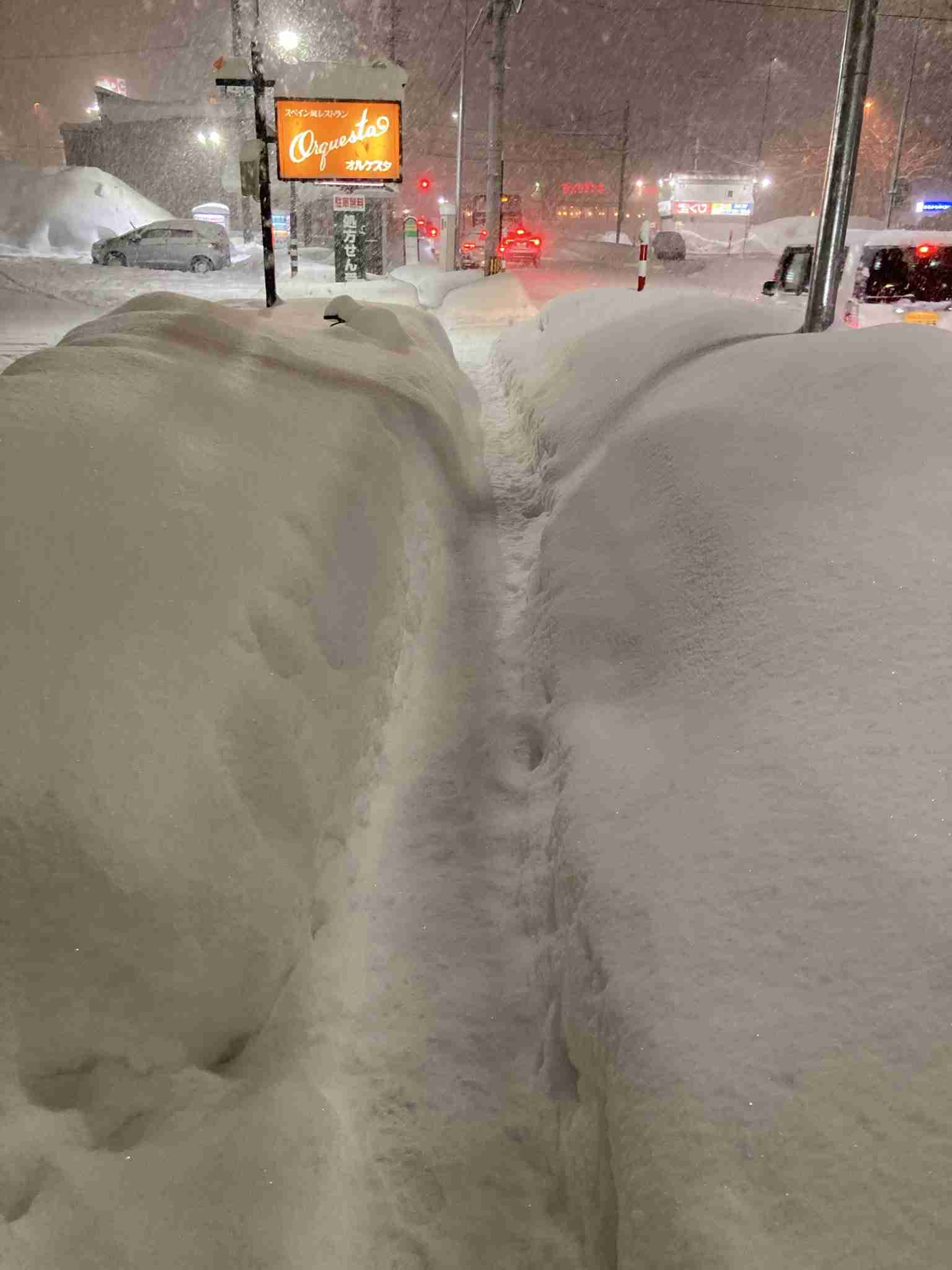 「雪で信号が見えない」長崎で目撃された現象　原因はLED化？ ‟省エネ・高寿命‟が裏目に…盲点の雪トラブル