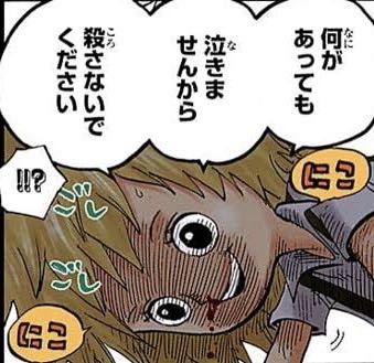 【ONE PIECE】誰の過去が悲惨？