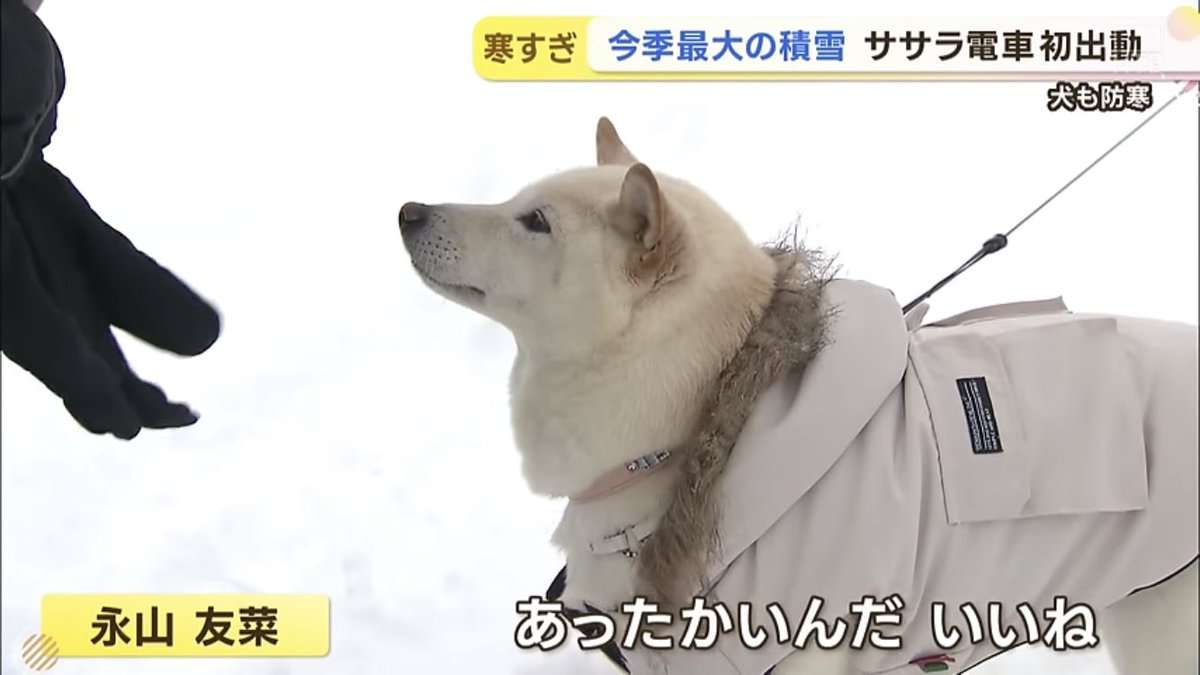 美人に質問したいこと