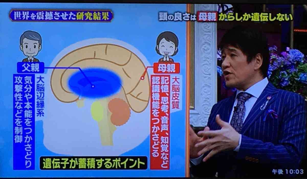 頭って遺伝の要素が強いよね