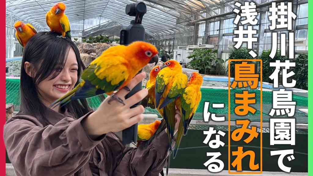 櫻坂46を語りたい Part 27