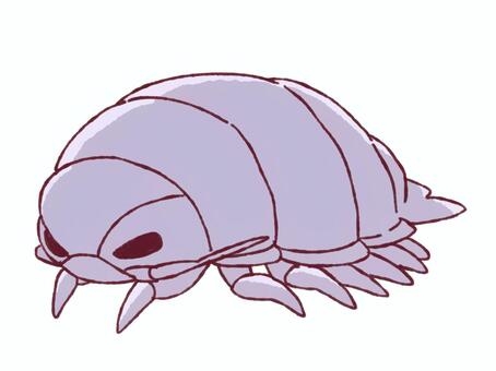 【47都道府県】どことどこのハーフですか？🗾