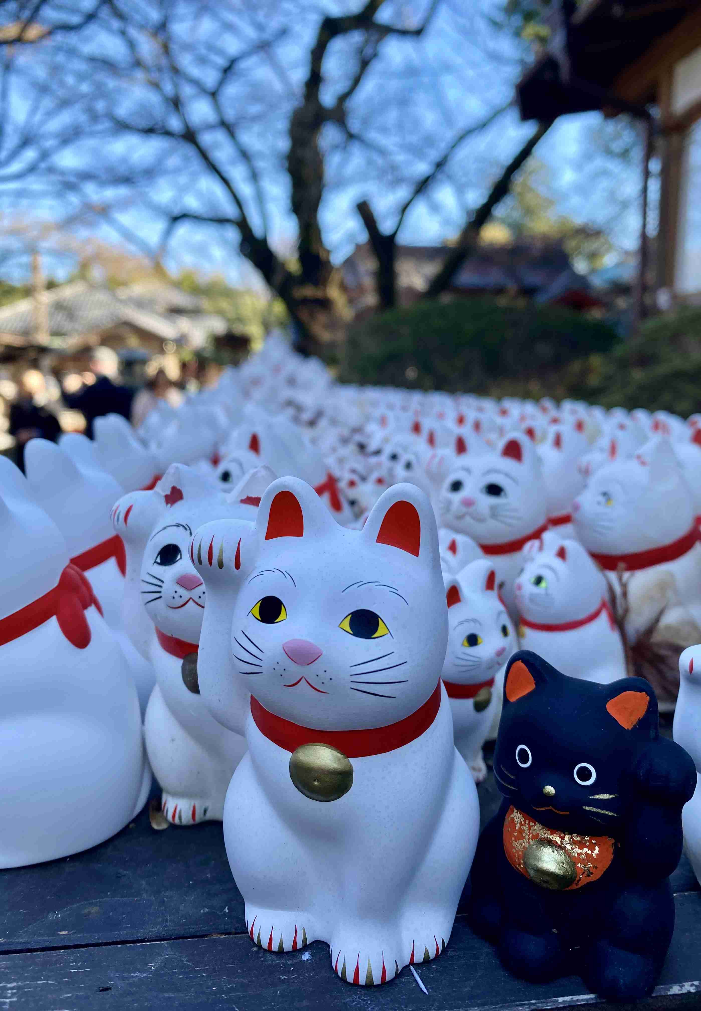 連休中に撮った写真を見せ合おうよ