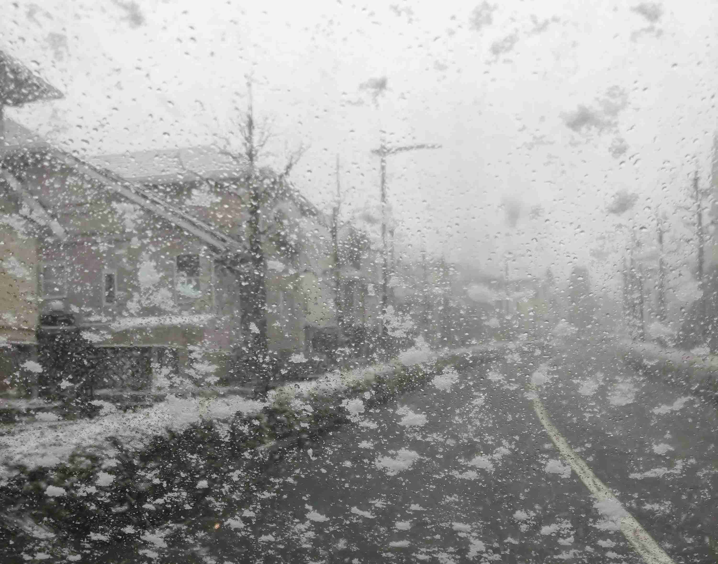 連休中に撮った写真を見せ合おうよ