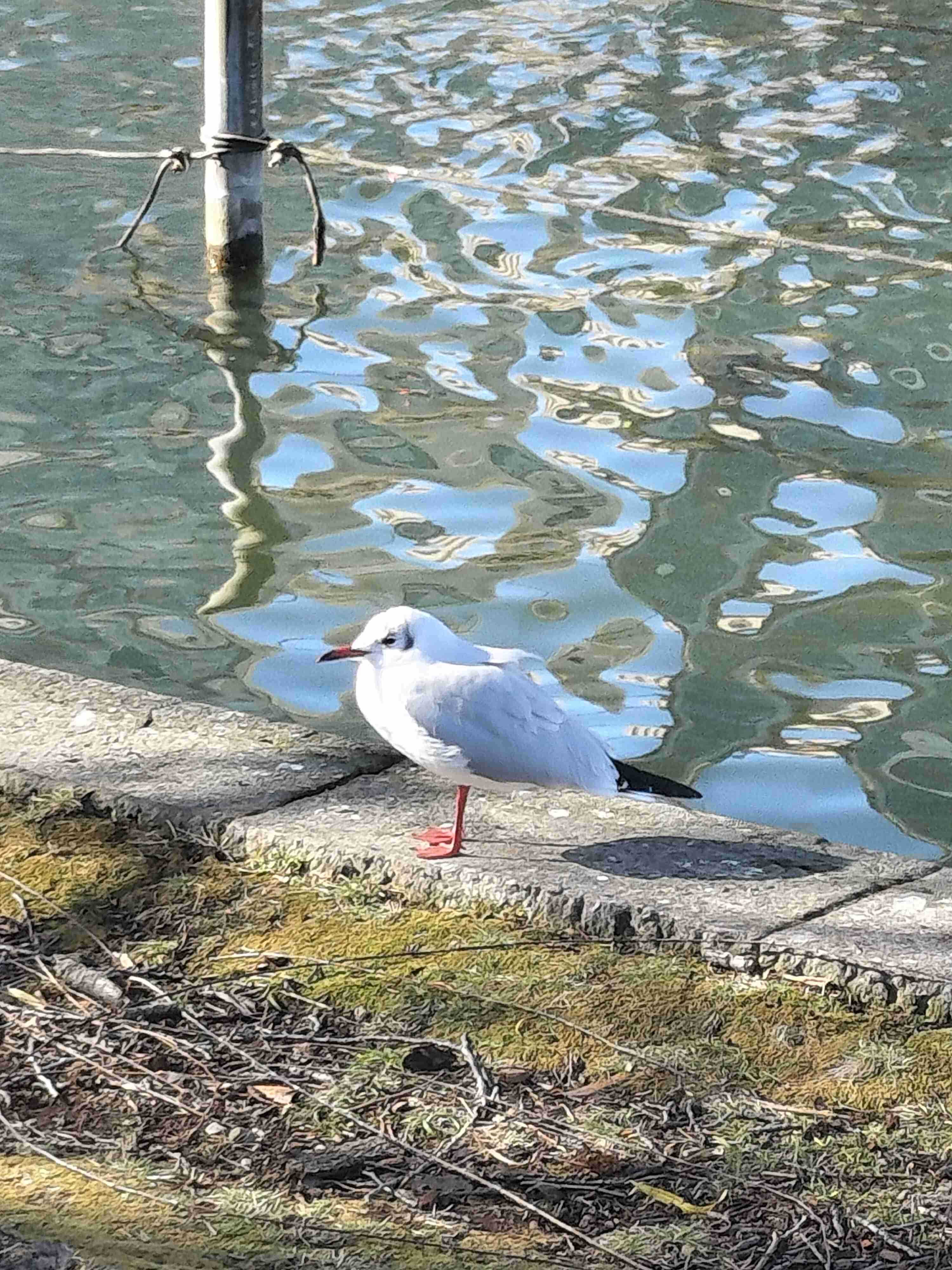連休中に撮った写真を見せ合おうよ