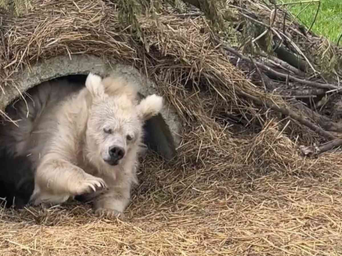 とにかく春が恋しい