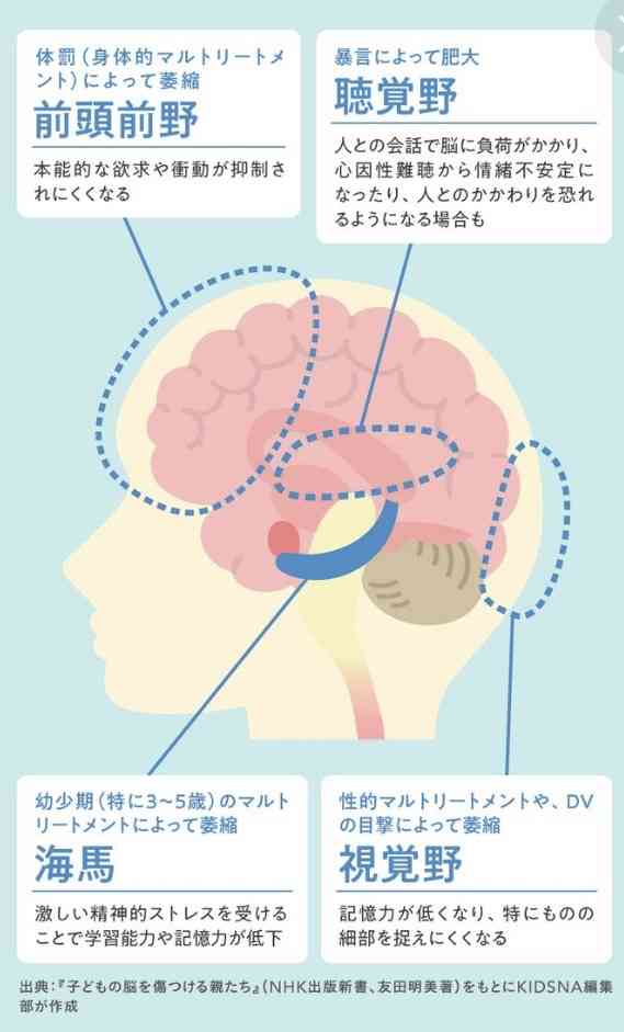 台東区の保育園に「心理的虐待」で都が改善指導　男性園長が園児に「泣けば終わりじゃねえ」威圧的に何度も叱責