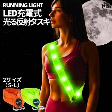 闇の歩行者と犬が怖い【光ってほしい】
