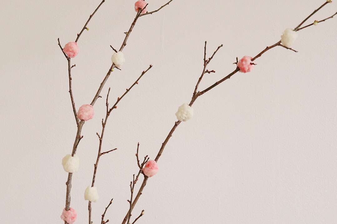 「これくらいの量でいい」土井善晴の1皿4品おせちに共感集まる「実家のお正月を思い出した」「あまりにも素敵」