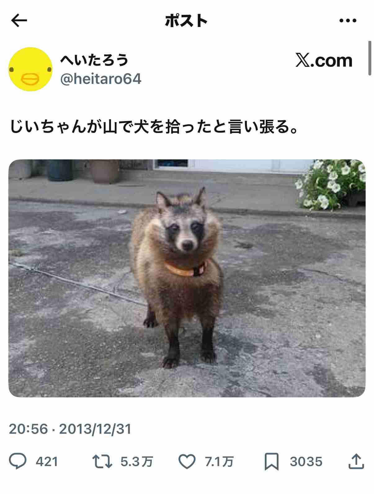 【ペット】飼い主が勘違いしてた事