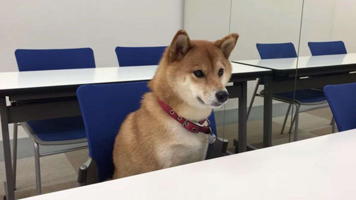 2026年介護福祉士国家試験