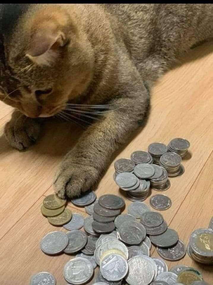 休日とにかくどこかへ行きたくて仕方がない人！