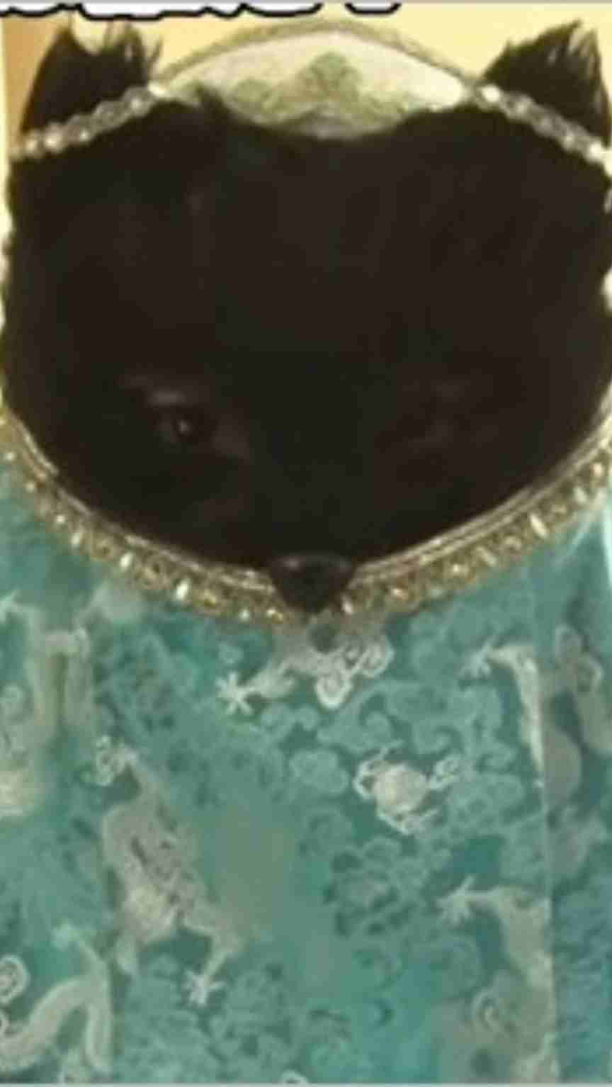 「ぐるナイ」ゴチ、新メンバー2人のヒント動画公開 ギリギリ一問一答も