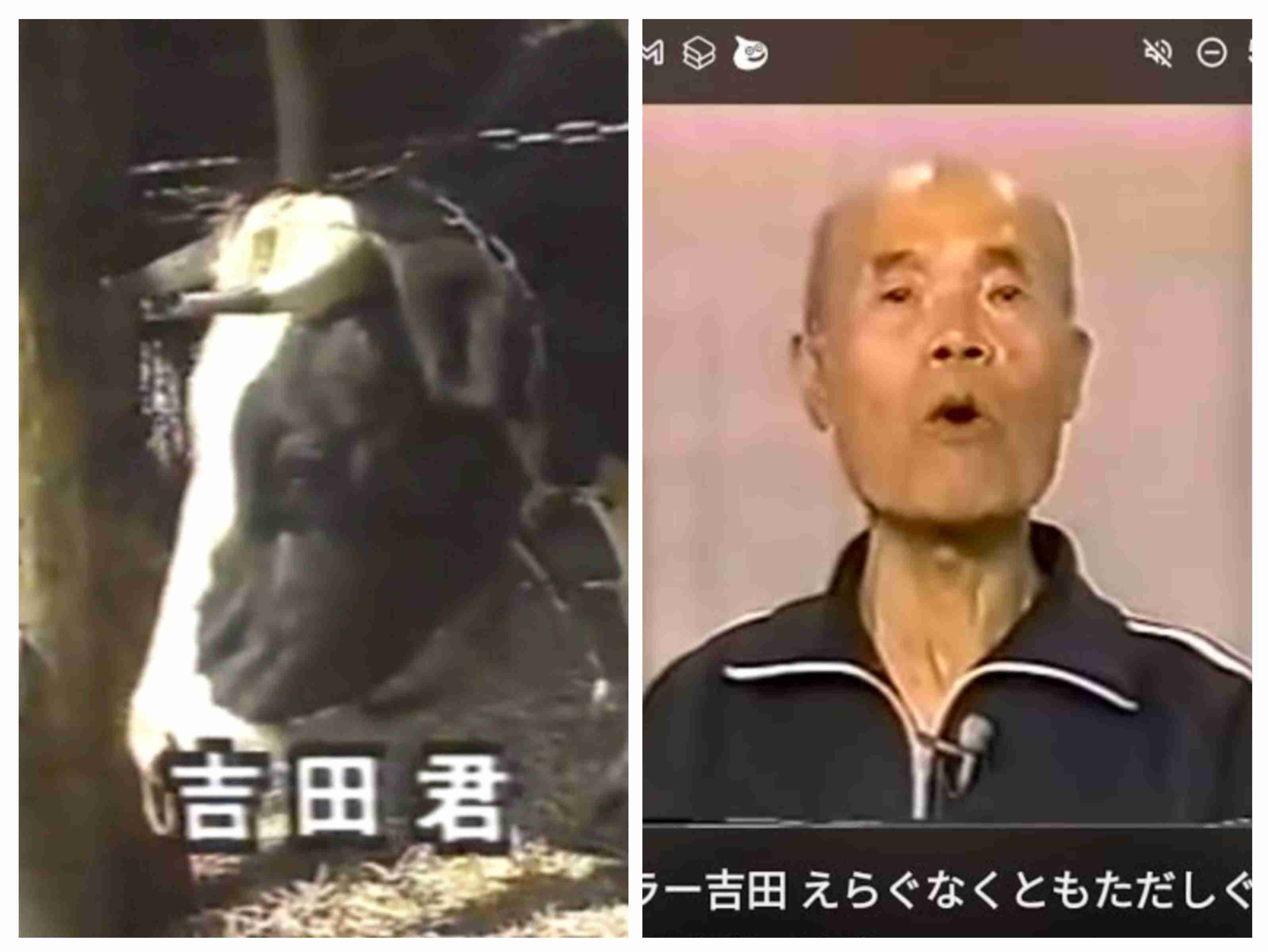 「天才・たけしの元気が出るテレビ!!」観ていた方~。