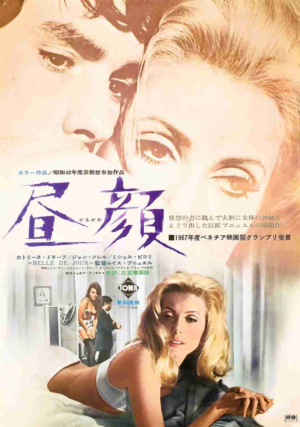 昼顔を語りたい。