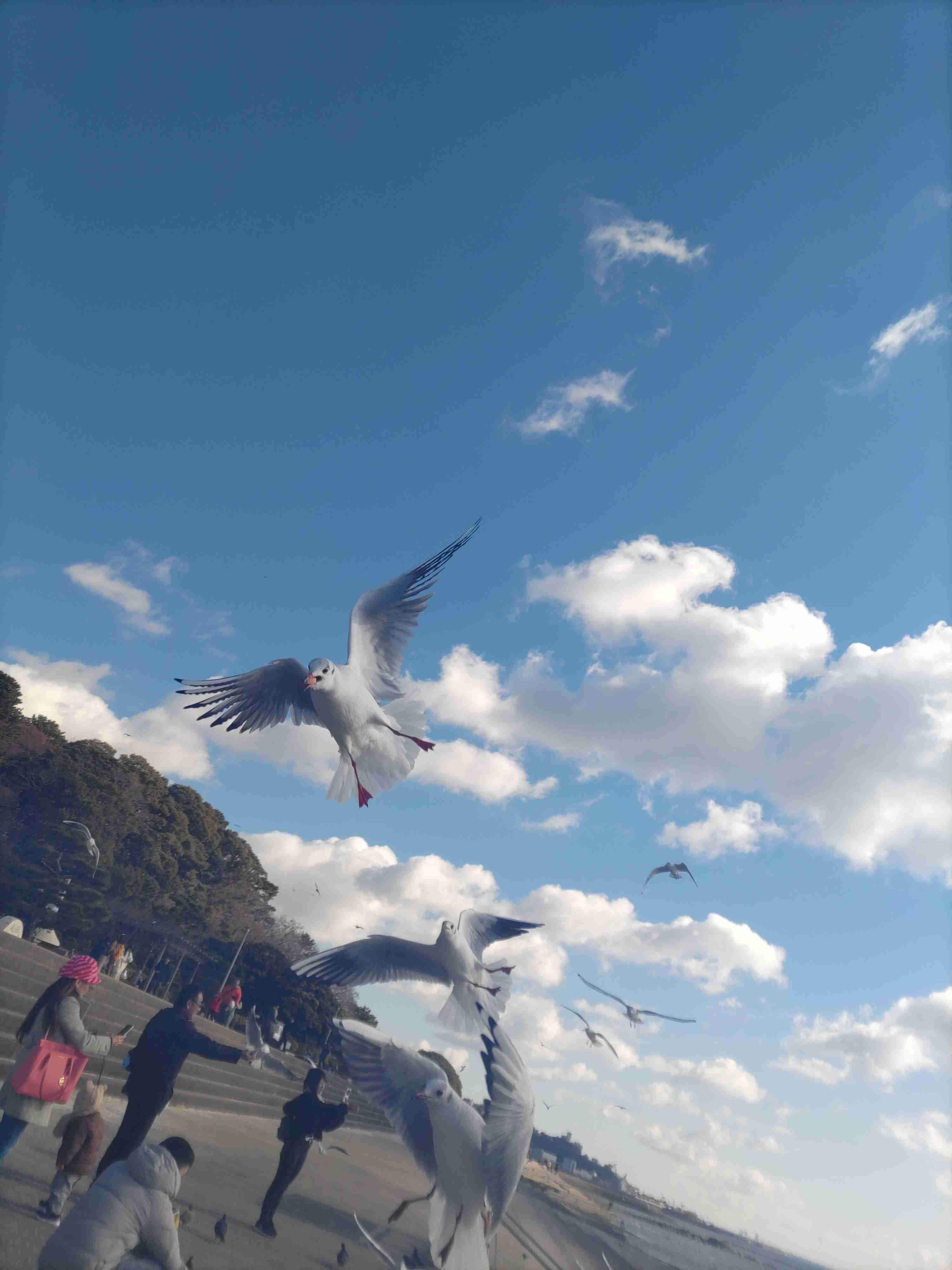 ✨【雑談】しながらみんなの趣味教えて✨