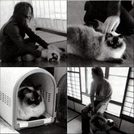 【定期】櫻井敦司語るトピ。アンチ🈲