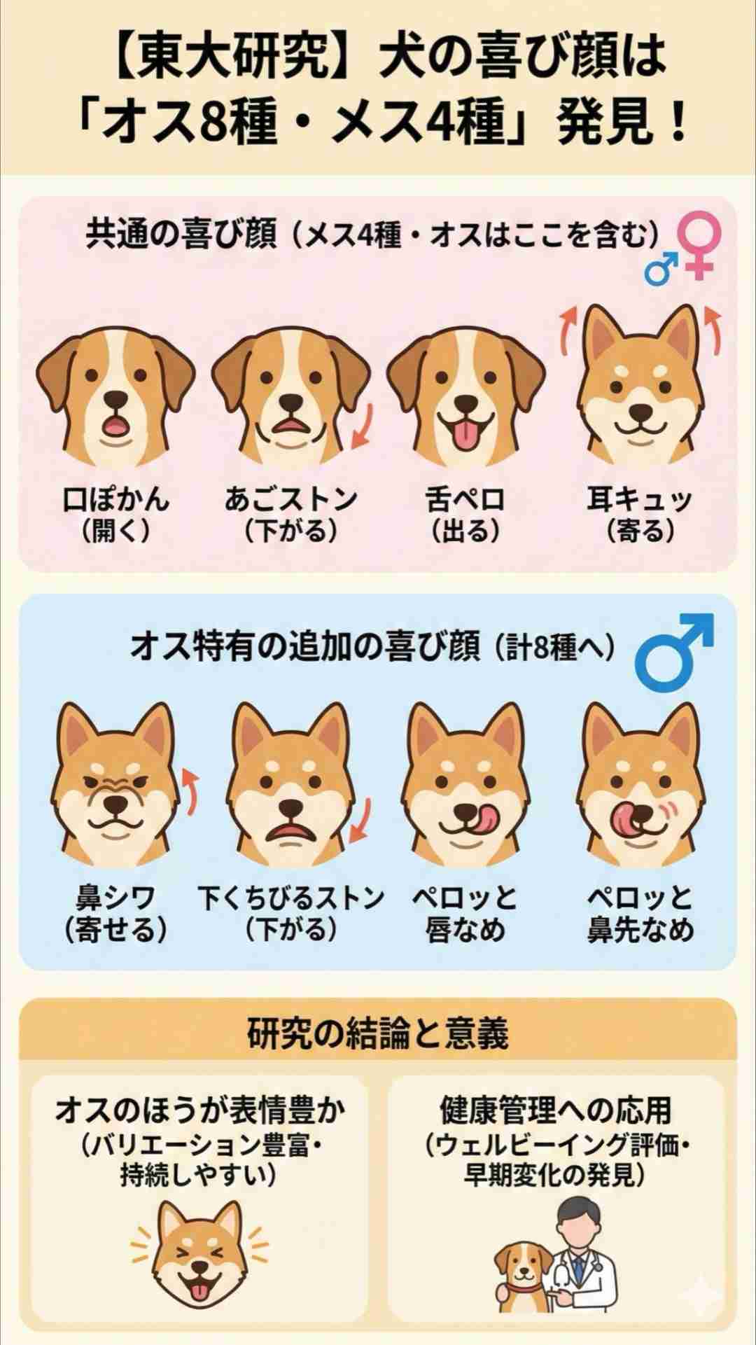 【東大】犬の喜び顔は「オス8種・メス4種類」あることを発見