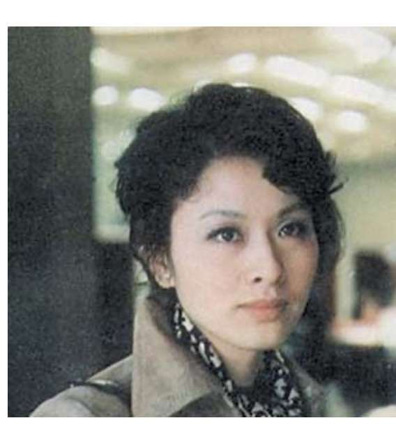 生涯独身を貫きそうな有名人