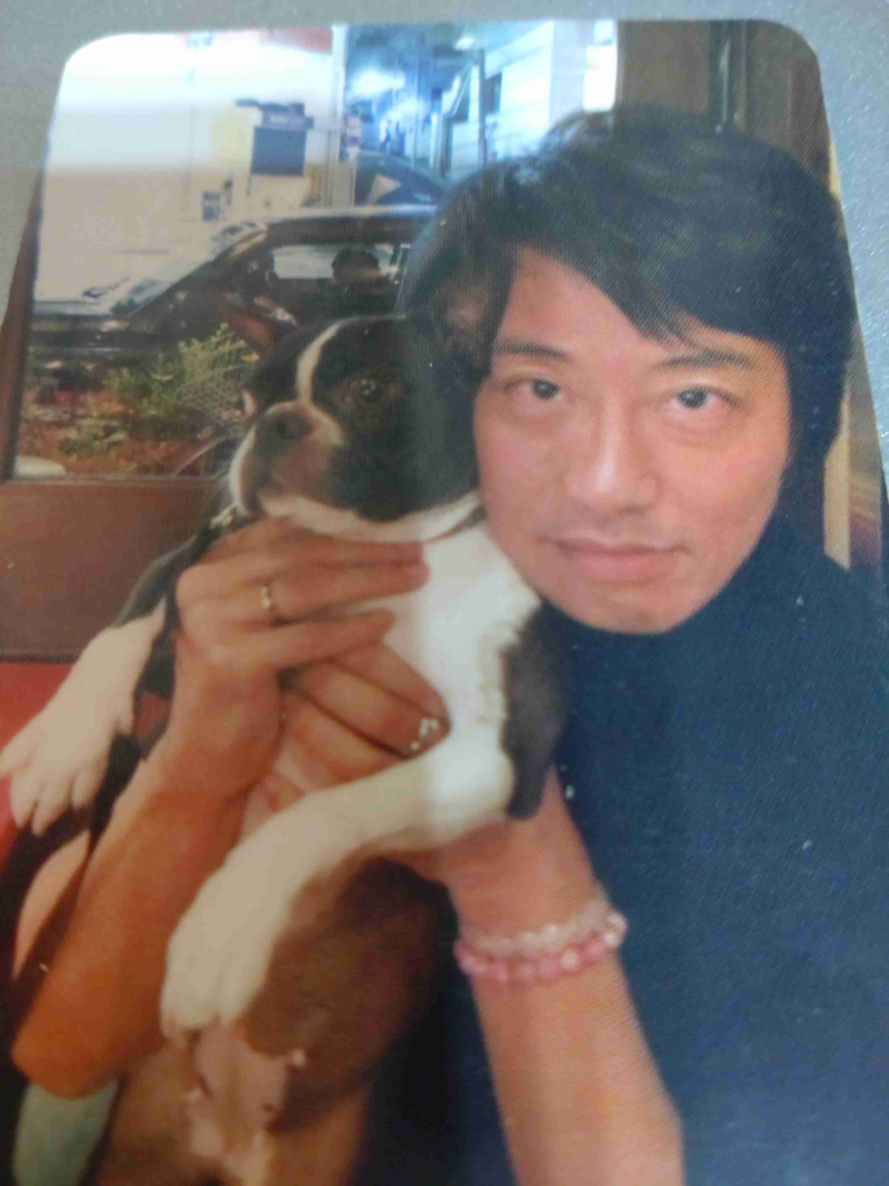 岡村靖幸さんの好きな曲