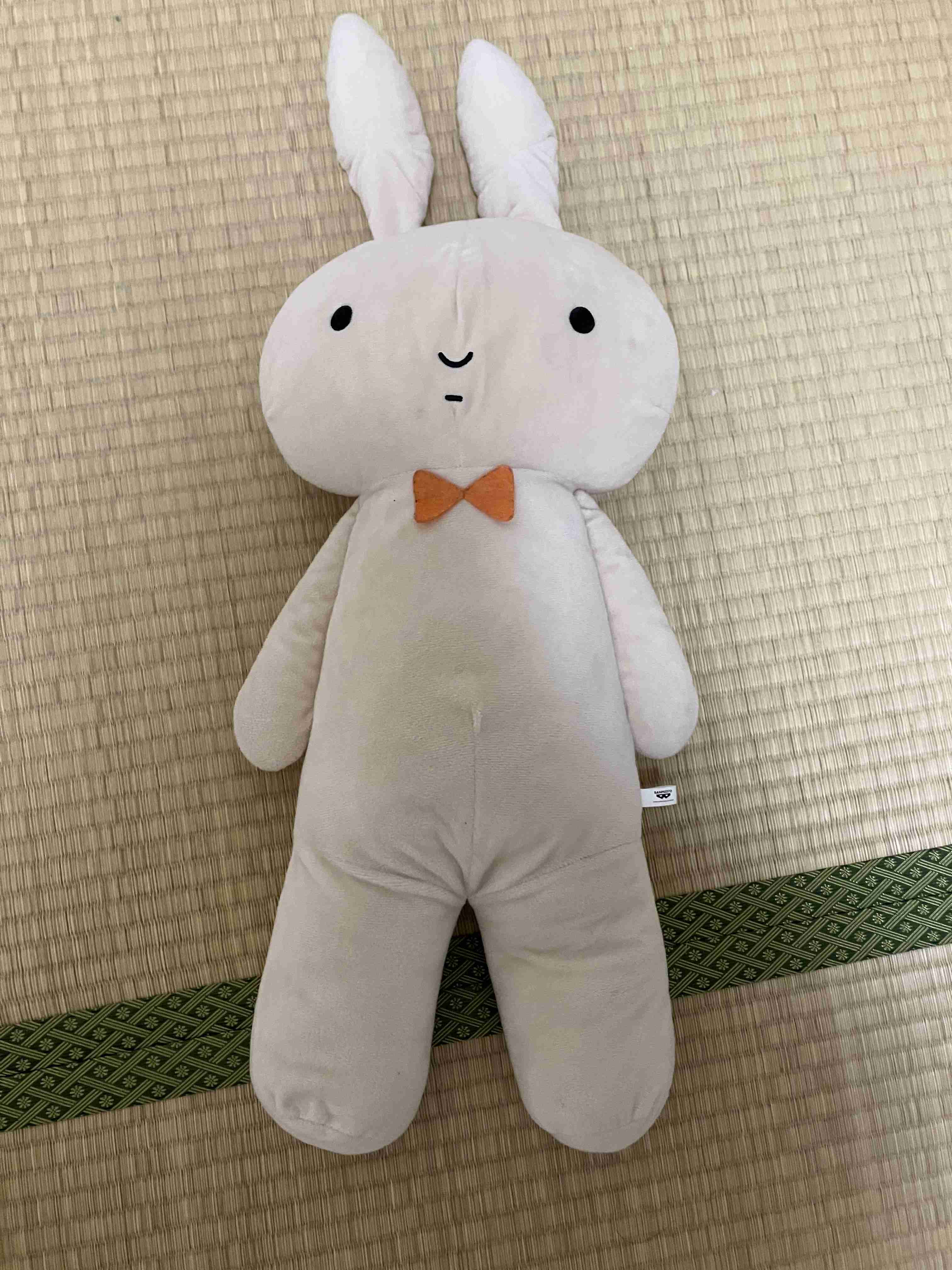 使うか分からない余計なものを買うのが好き
